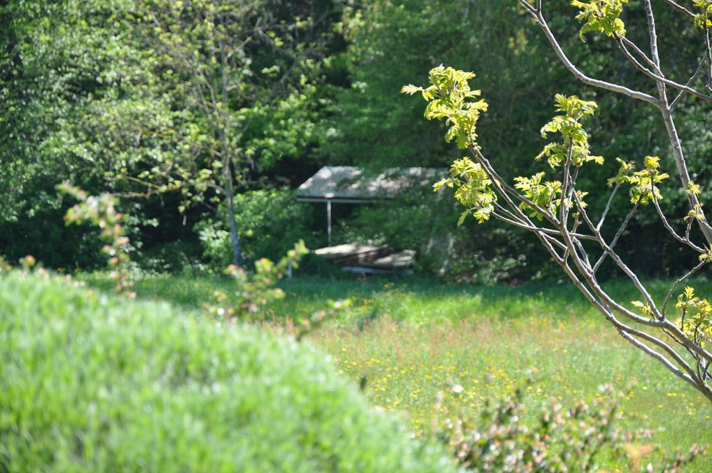 Pollionnay La Bergerie Bed & Breakfast エクステリア 写真