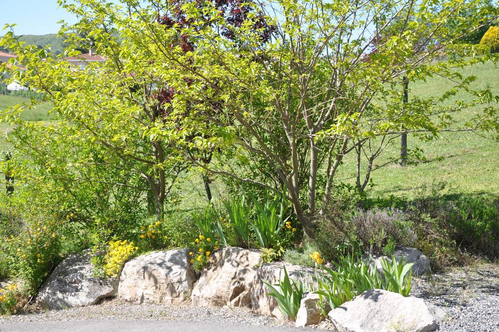 Pollionnay La Bergerie Bed & Breakfast エクステリア 写真