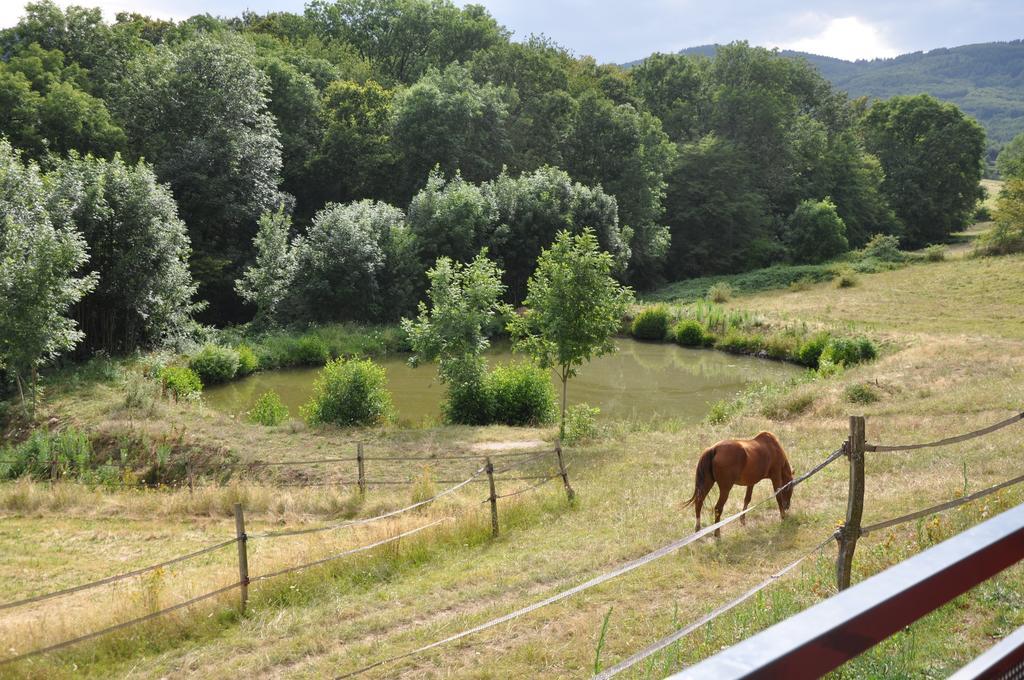 Pollionnay La Bergerie Bed & Breakfast エクステリア 写真